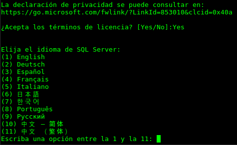 SQL Server 2017 license and language prompts
