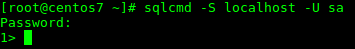 Successful SQLCMD connection to SQL Server